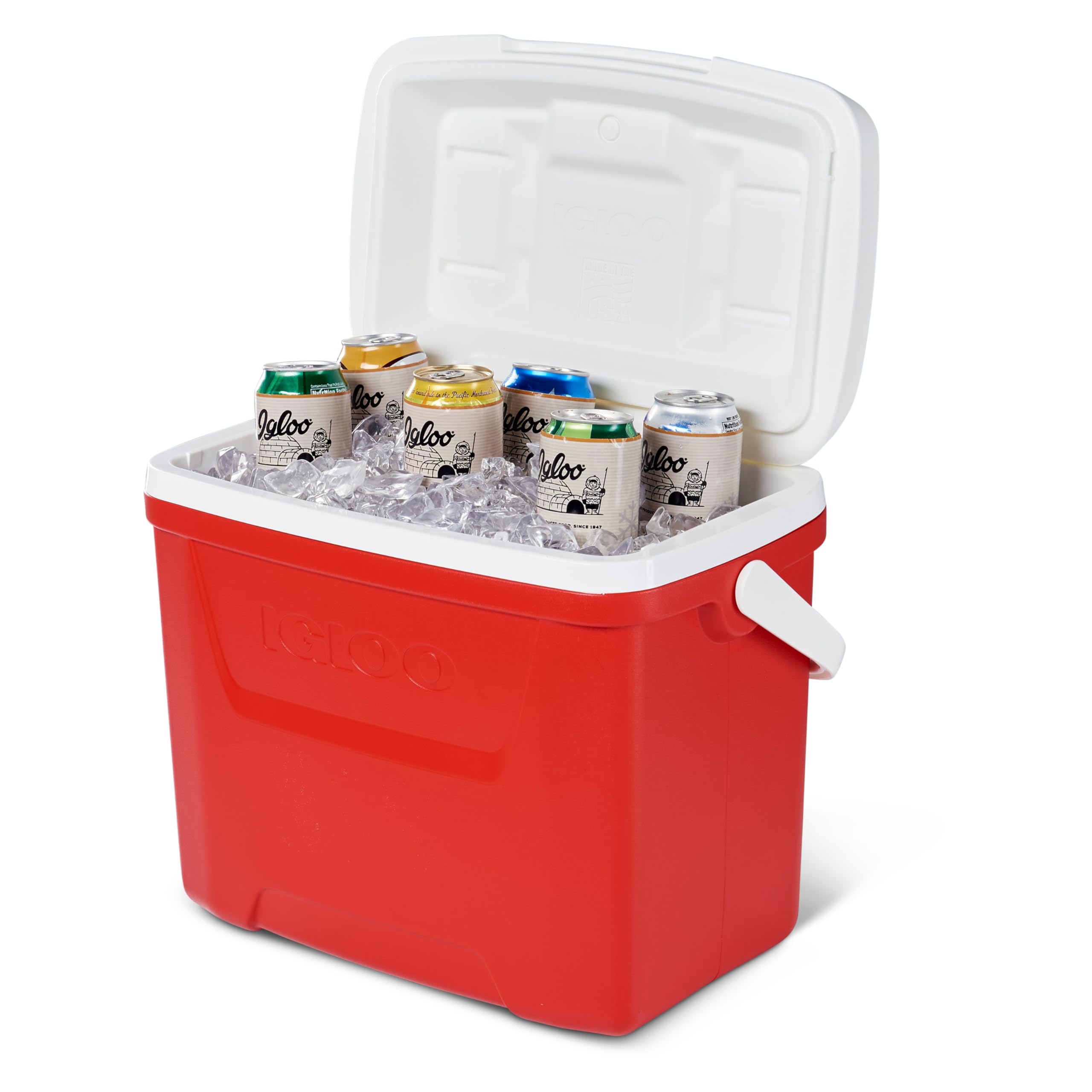 IGLOO Mini Kühlbox Portatile - 12 Canni Coolbox - Dettaglio