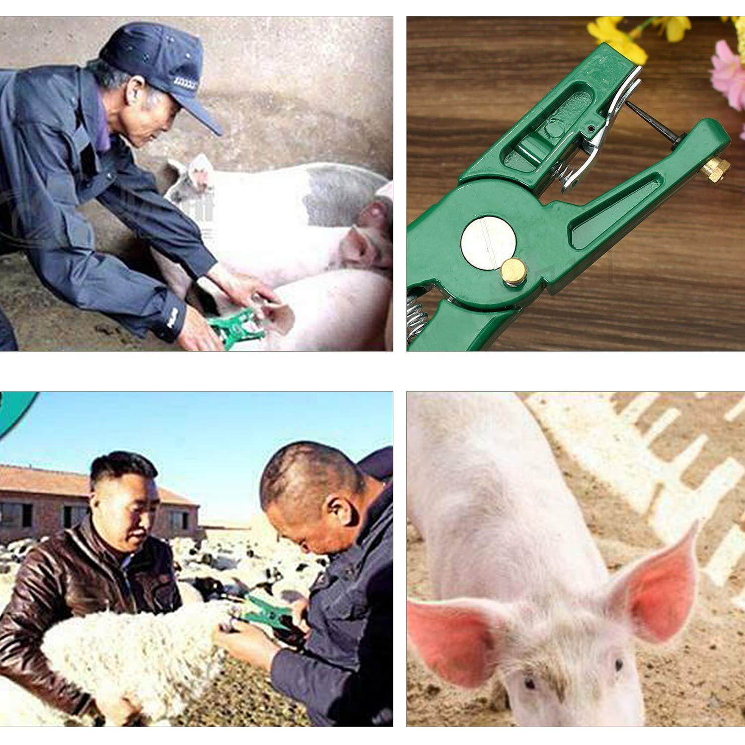 Pinze Per Etichette Orecchie Animali - Applicatore Per Suini, Bovini, Pecore, Con Perno Di Ricambio - Foto 8