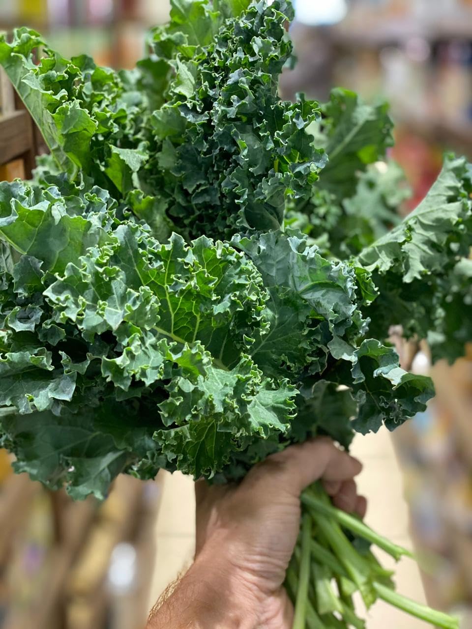 Golden Hills Farm High Yield Curly Kale Ganth Gobhi/Leaf Cabbage/Russian Gobhi/Khuli Band Gobhi 300+ (B0CJJTHYVW) Amazon Price History, Amazon Price Tracker