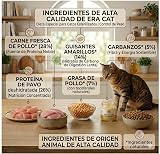 Ver la foto 4