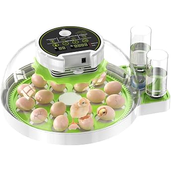 Brutappara Fully Automatic Incubator 16-60 Egg Incubator Chicken with Automatic Turning