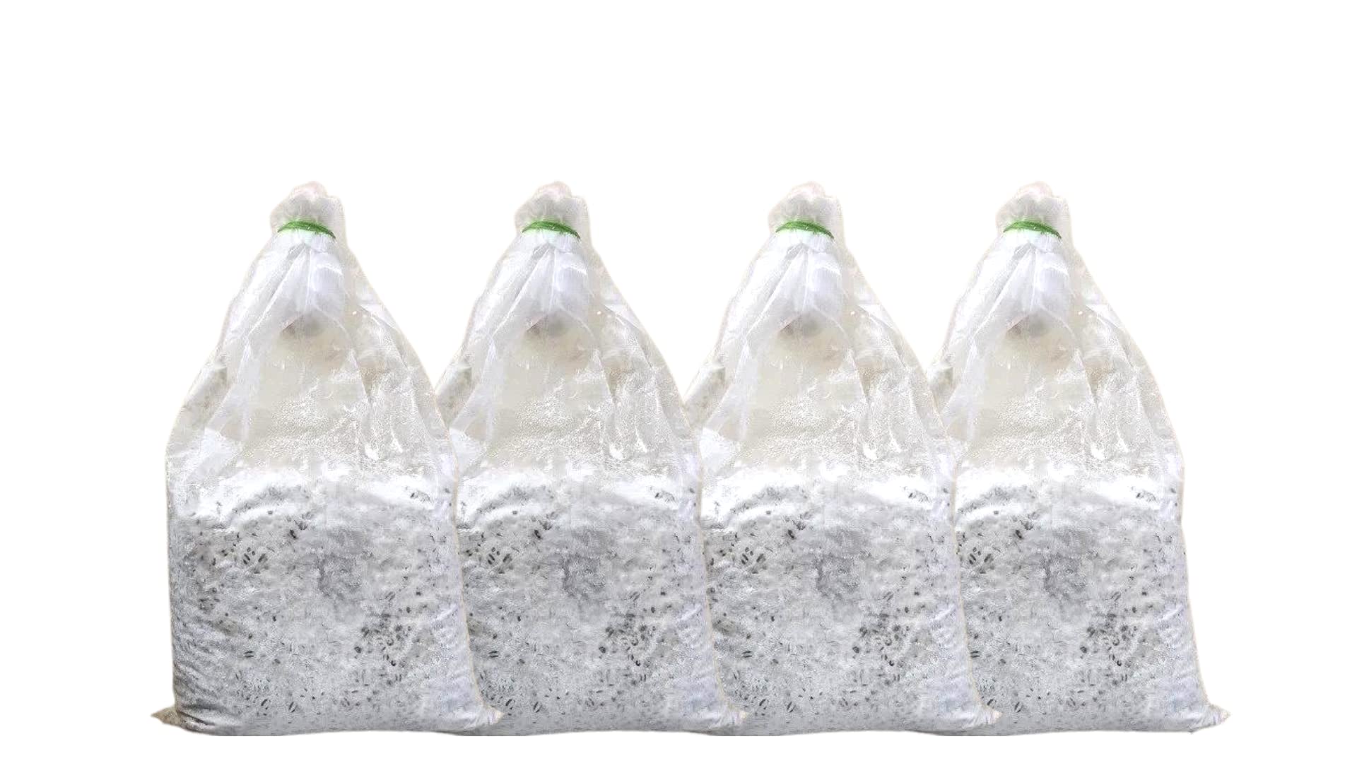 Misty Ranch Hydroponics Organic Mushrooms - Oyster Mushroom Spawn and Seed - 1 kg set of 4 (1kg each)