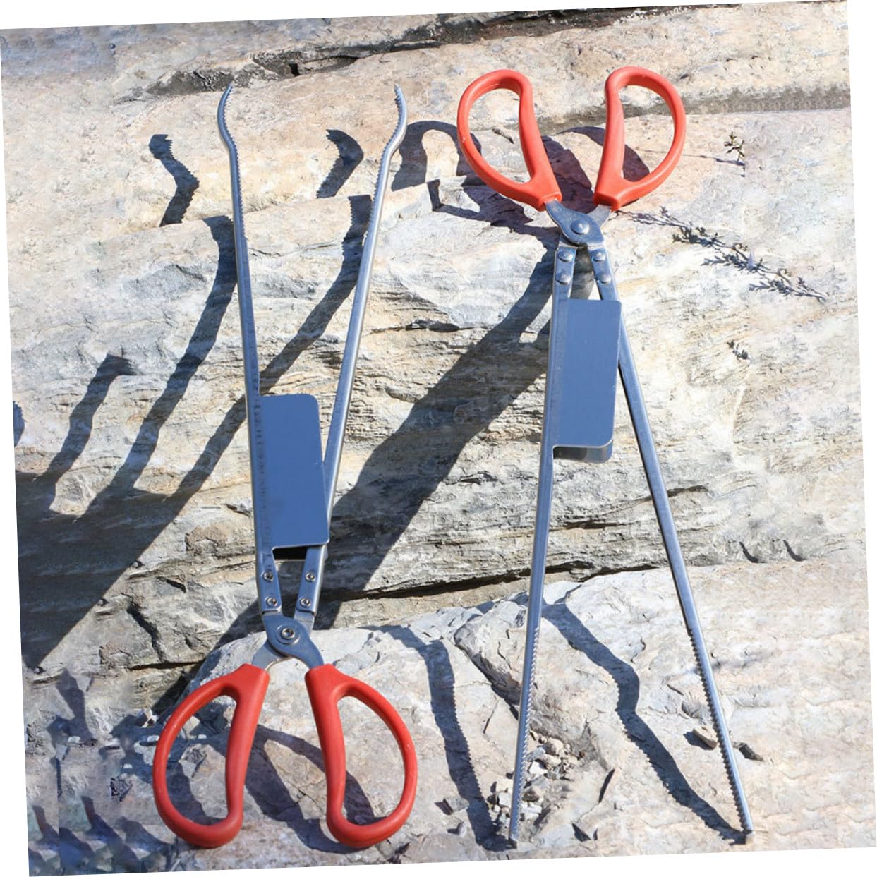 INOOMP Pinze Design Inossidabile Acciaio Anguille Antiscivolo e per in Presa 2 Pezzi Forte Largo per Pesca, Escursioni e Picnic