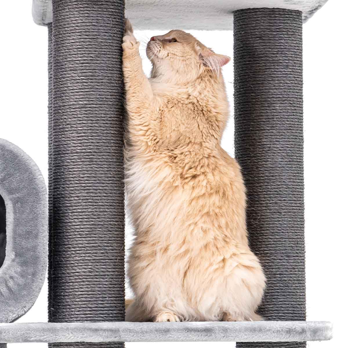Petrebels Drapak XXL Interstate 199 cm, Maine Coon, duży drapak o grubości Ø 12 pni sizalowych, kolor szary