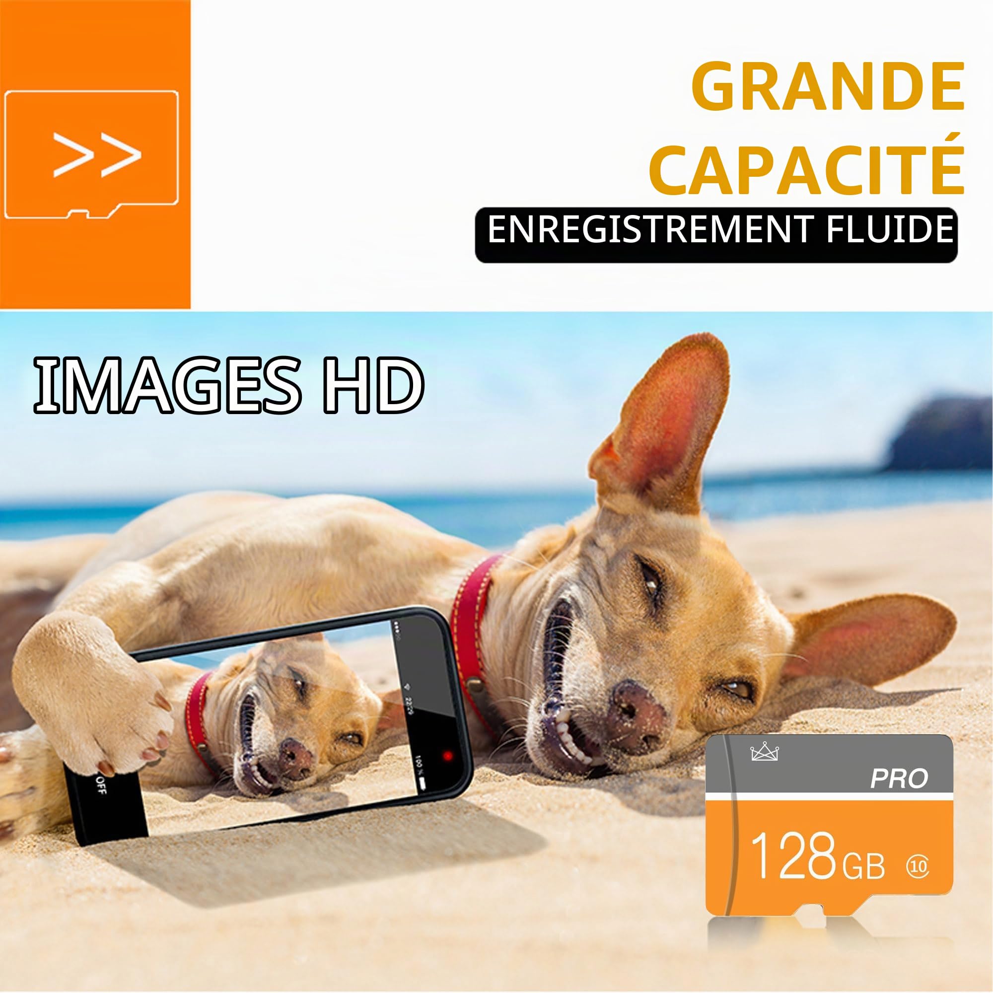 128Go Carte mémoire, Micro Carte mémoire avec Adaptateur Classe 10 Haute Vitesse pour Appareil Photo, Smartphone, Tablette 2-Pack