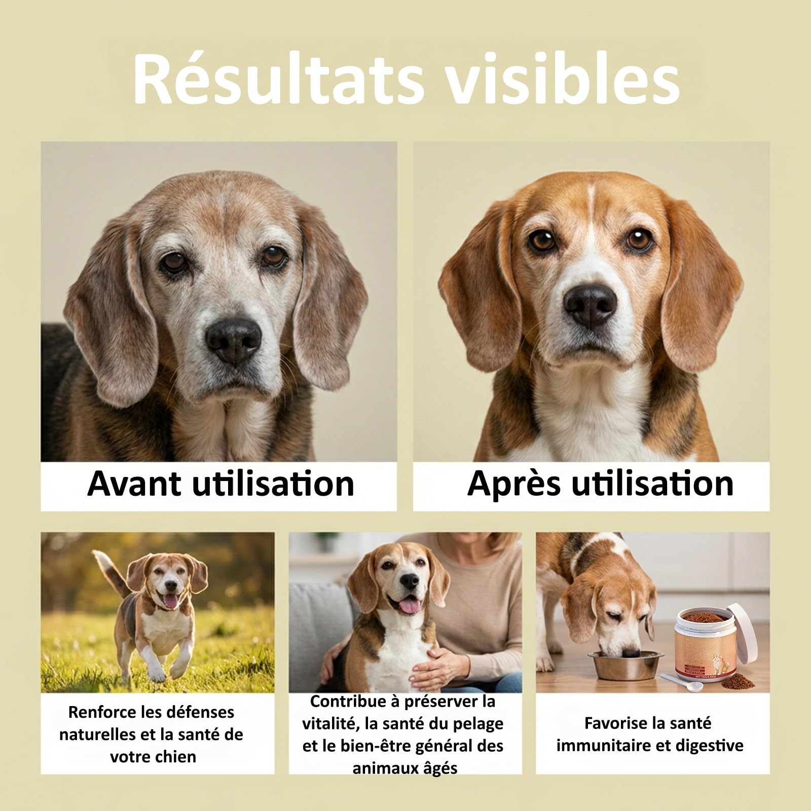 Orealift Probiotiques pour Chiens,Facilite la Digestion