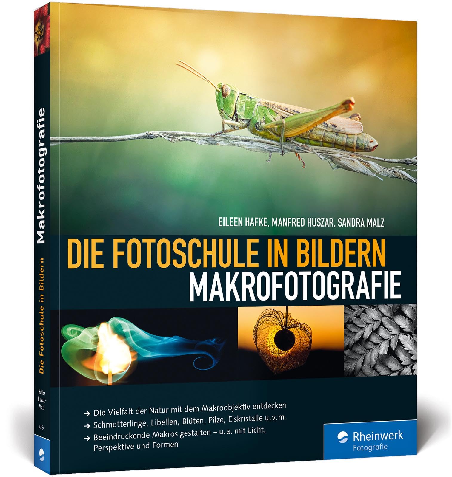 Macro-photographie nature : apprendre à photographier les papillons et fleurs
