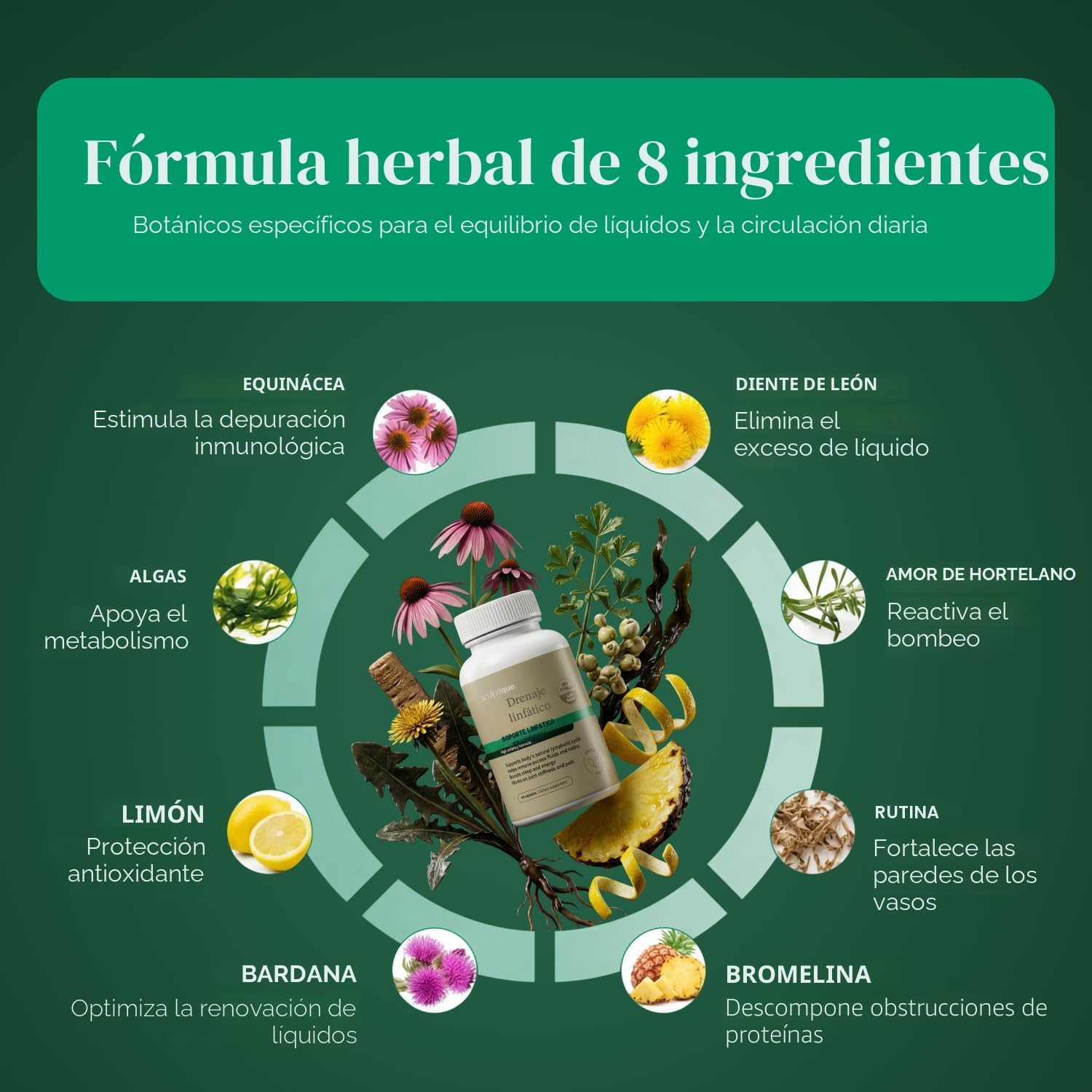 Suplemento de drenaje linfático – Cápsulas de drenaje linfático con diente de león, bardana, cuchillas y equinácea, apoya la hinchazón, el equilibrio de líquidos y el bienestar linfático 6