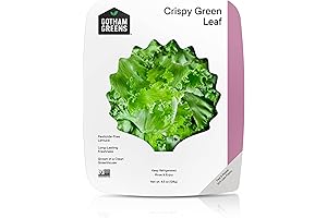 Little Leaf Lettuce: The Crispy Conventional Salad Choice