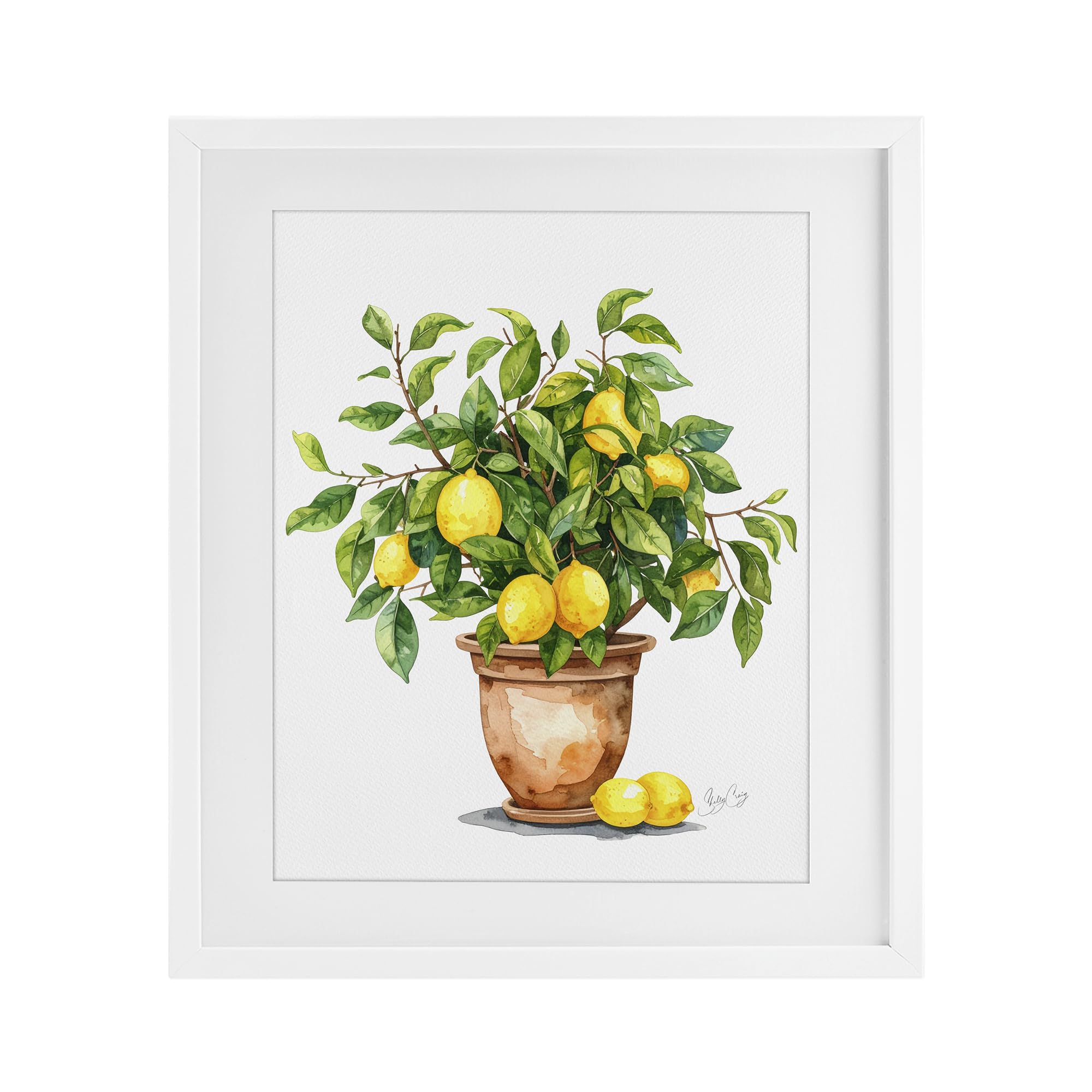 Stupell Industries Coastal White (Textured) Potted Lemon Tree Botanical, 13 X 16 Inch Framed Print Under Glass