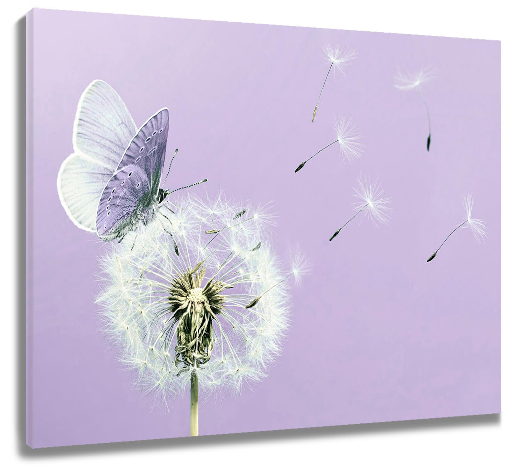 LB Dandelion Flower Wall Art Purple Butterfly on Floral Canvas Wall Art Aesthetic Painting Poster for Living Room Bathroom Wall Decor,16Wx12H inch Wooden Framed โ image 1