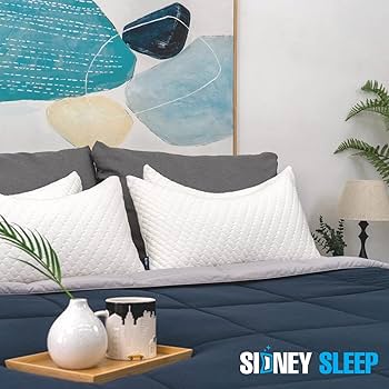 BRIAN SLEEP PILLOW スタンダードサイズ Brain Sleep Pillow Portable | Japan Trend Shop