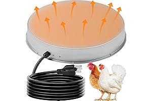Heated Waterer for Chickens | 130W Safe Chicken Drinker