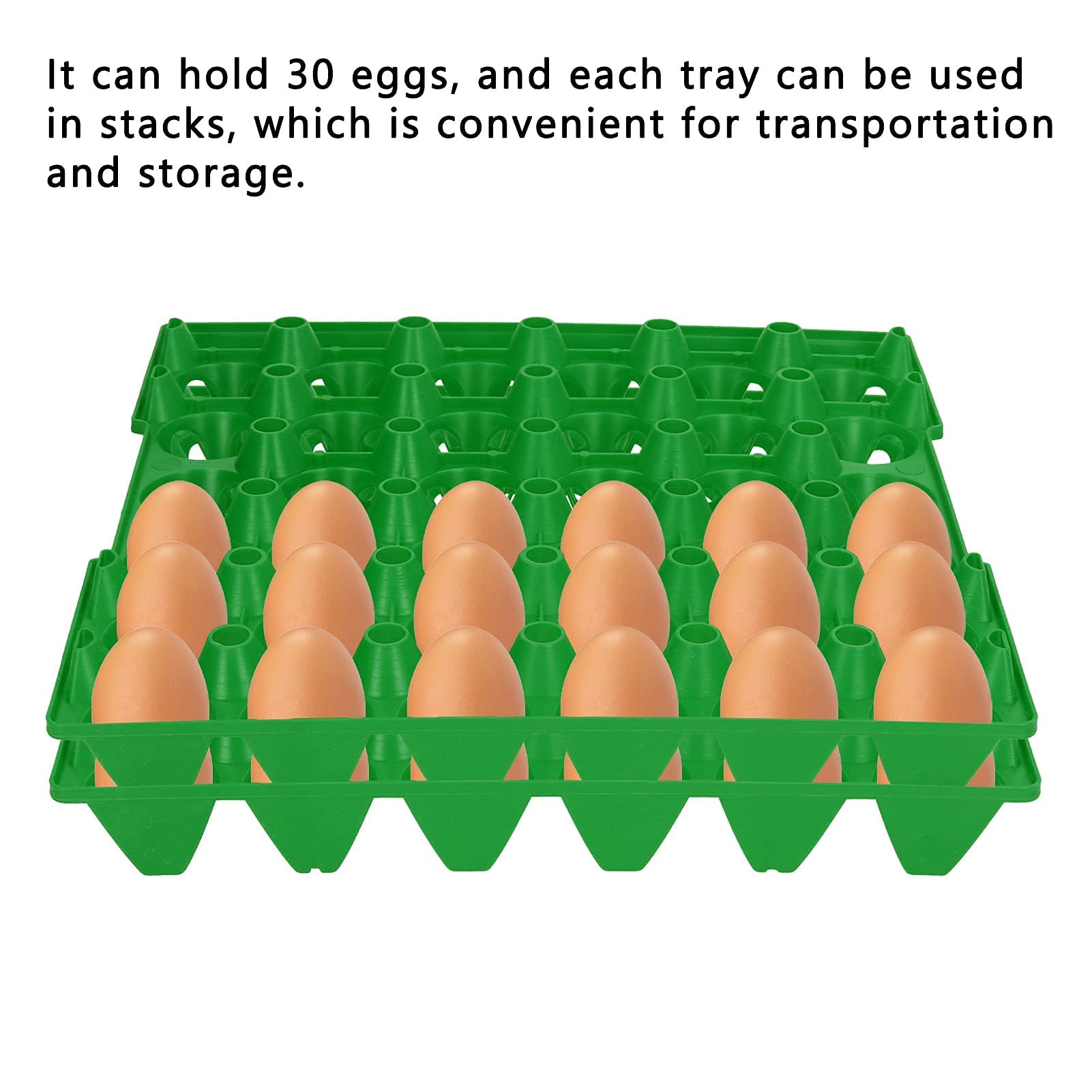 Cajas de huevos de plástico, 5 piezas, 28,7x28,3 cm, bandeja de soporte para 30 celdas, almacenamiento y transporte, suministros agrícolas para el hogar (Verde)