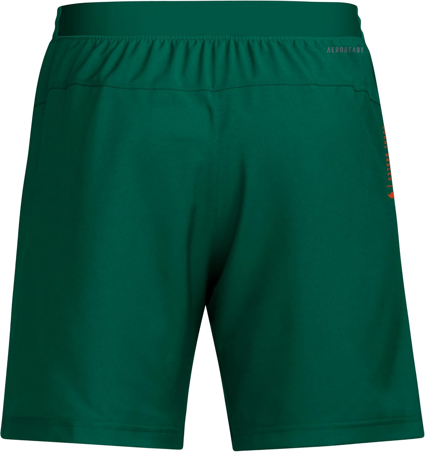 Adidas Mens NCAA Designed for Training Team Graphic Woven Shorts