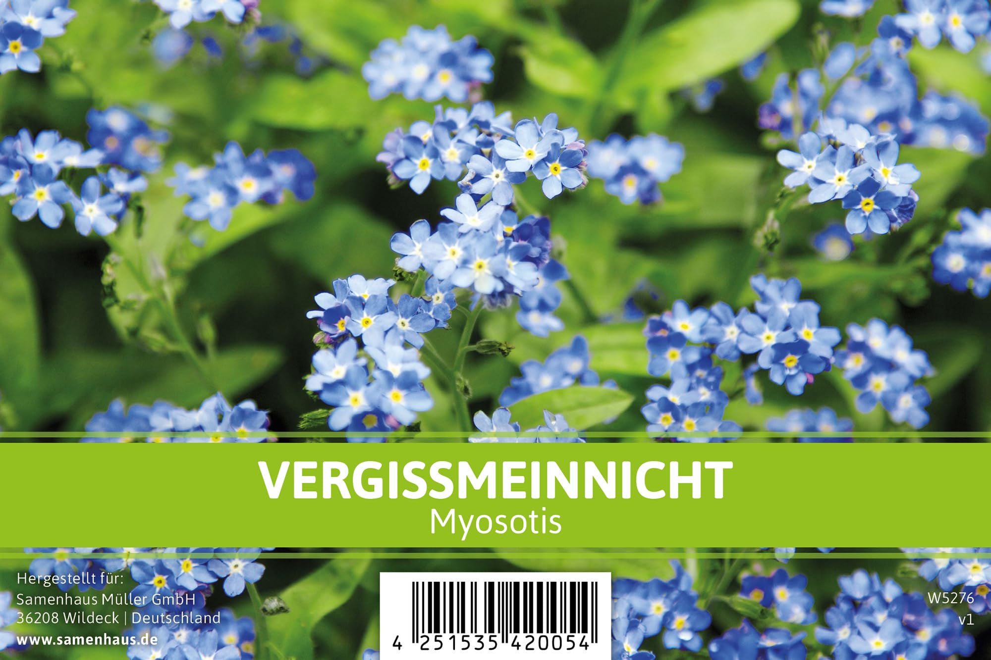 FLORTUS Vergissmeinnicht für Gastgeschenke (500 Tütchen) | Blumensamen perfekt als Dankeschön Geschenke, Werbegeschenke & Gastgeschenke Hochzeit