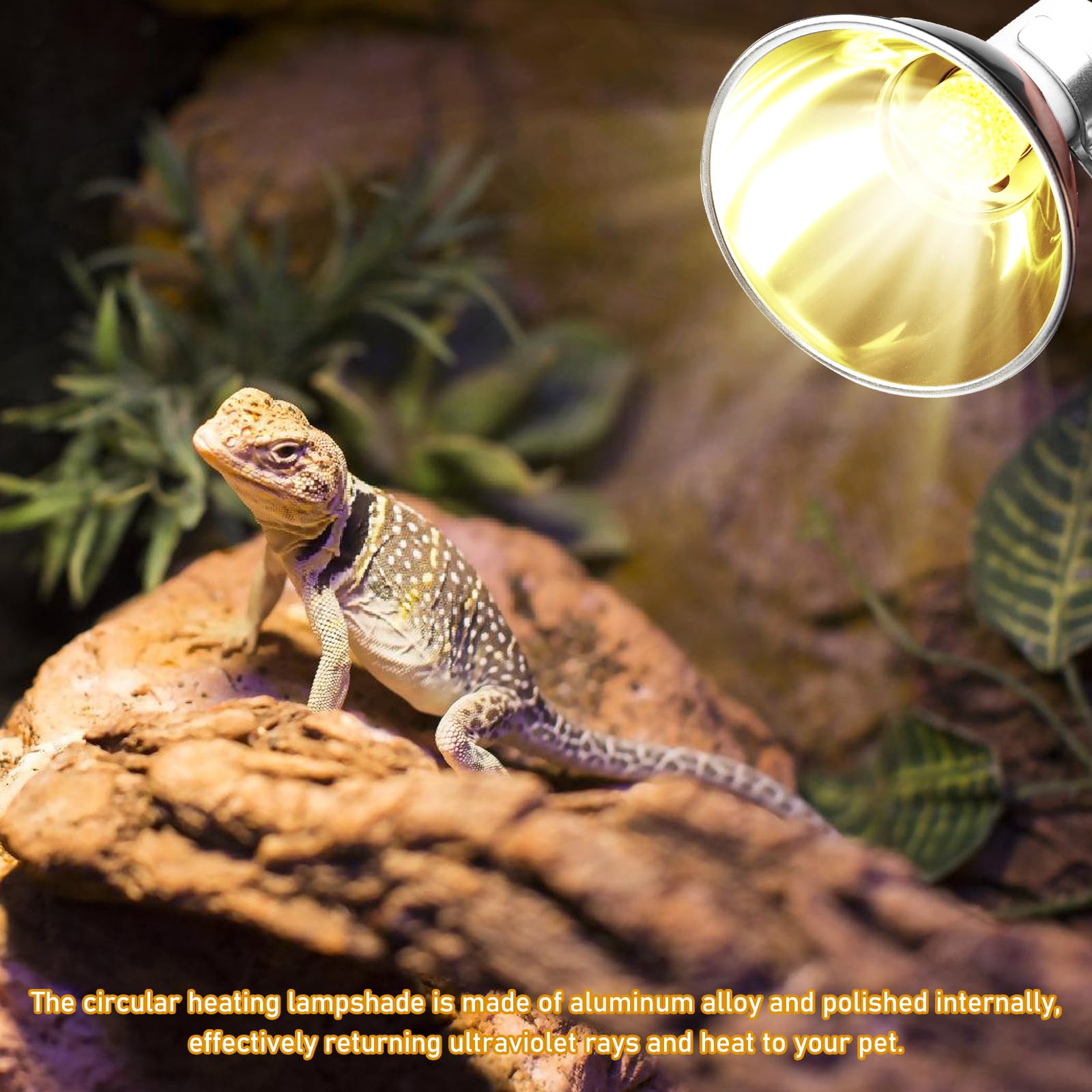 Lampe chauffante pour terrarium pour reptiles : douille de lampe en céramique E27, lampes dôme de terrarium, 220-240 V UVA/UVB pour reptiles, tortues, lézards, serpents, terrarium Lampe chauffante