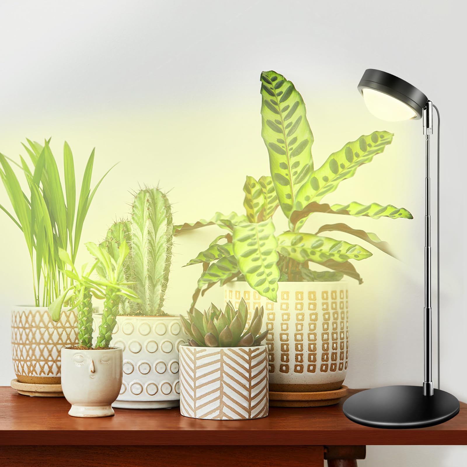 fayleer Pflanzenlampe LED Vollspektrum mit Optischer Linse für Hohe PPFD, Desktop Grow Lampe mit 6/12/18H Timer, Höhenverstellbar Grow Light Pflanzenlicht Wachstumslampe mit Sockel für Zimmerpflanzen