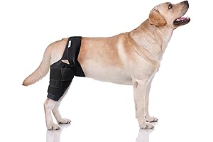 Advanced Dog Leg Brace for Hind Leg ACL Tear Support