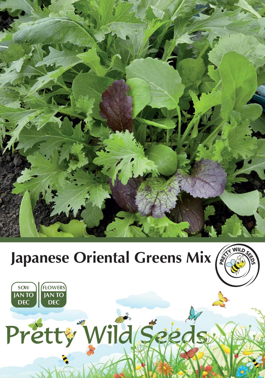 Cucumber Cucamelon Seeds in Pictorial Packet from a UK Seller Cute Fruits with Unique Crunch & Flavour — view 115