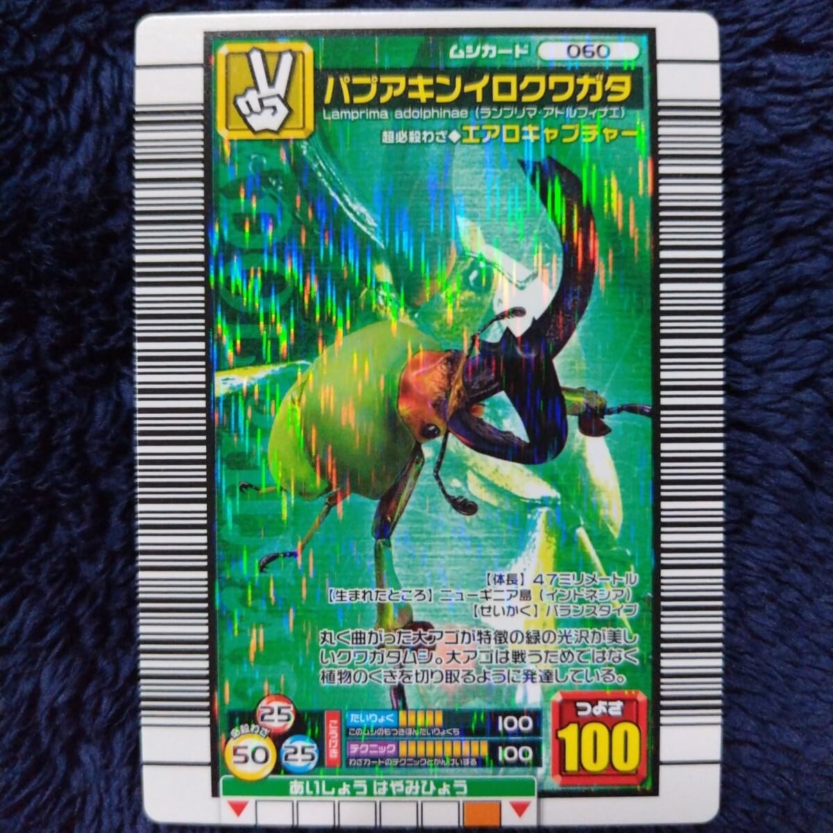 Amazon.co.jp: 甲虫王者ムシキング 2006セカンドパーフェクト