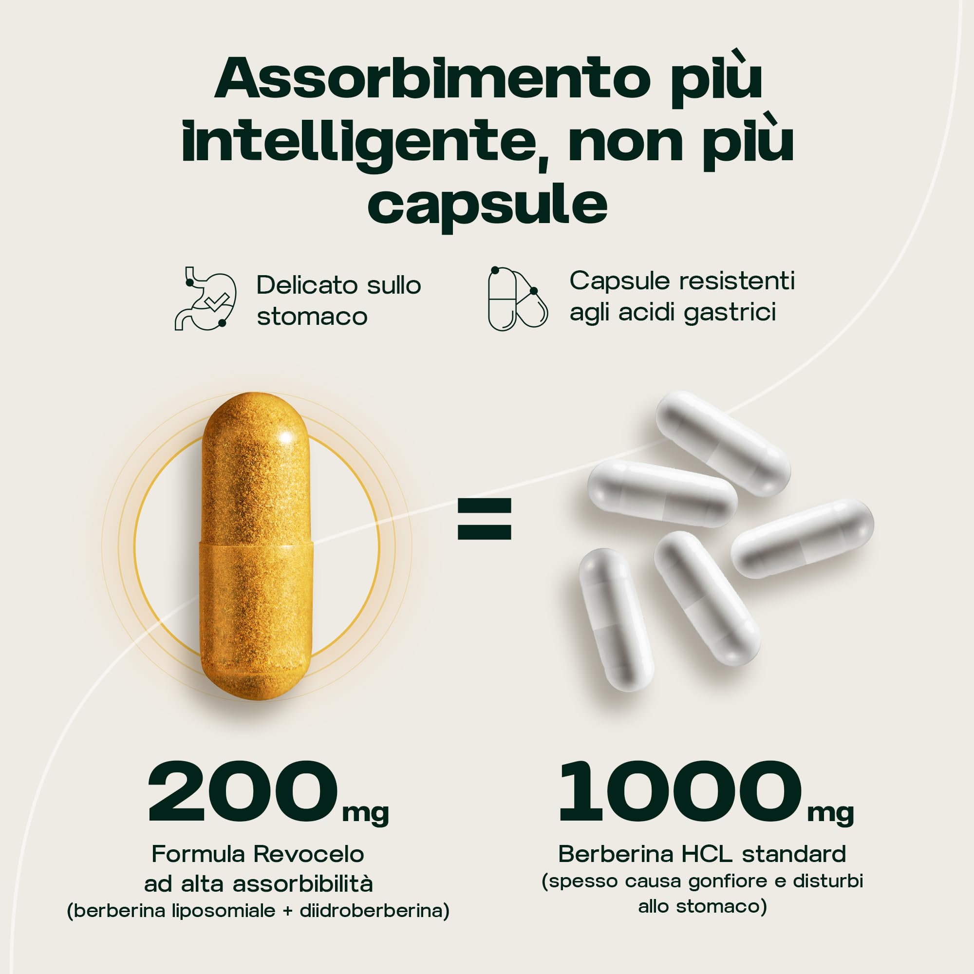 Berberina liposomiale + diidroberberina, delicato sullo stomaco, 1 capsula al giorno in capsule resistenti agli acidi, con cromo picolinato e tiamina, 60 capsule vegane