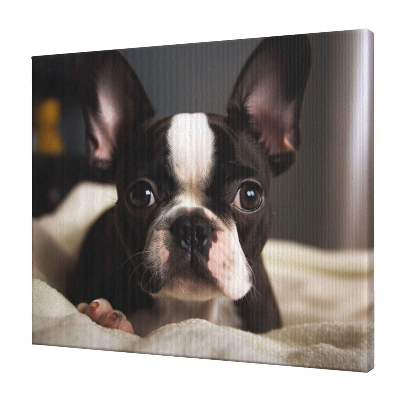 FodPand Cute Boston Terrier Canvas Wall Art for Living Room Wall Decor 20"x24" Modern Artwork Painting Pictures Hanging Canvas Prints Aesthetic Wall Art for Bedroom Bathroom Office Wallart Decor