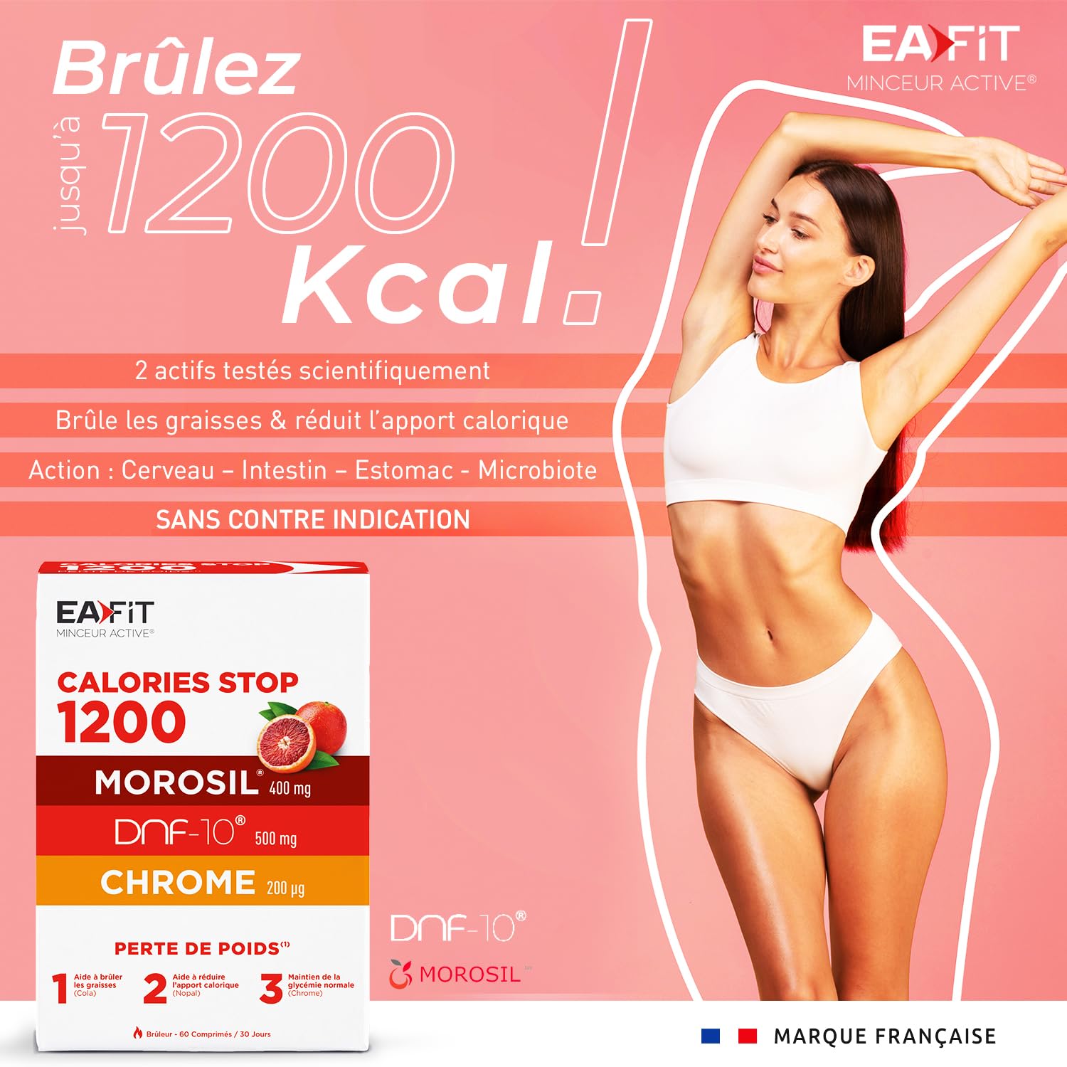 CALORIES STOP 1200 au MOROSIL - EAFIT - Minceur Morosil Perte de Poids - Bruleur de Graisse Puissant - Résultats Prouvés - FABRIQUÉ EN FRANCE - 60 comprimés