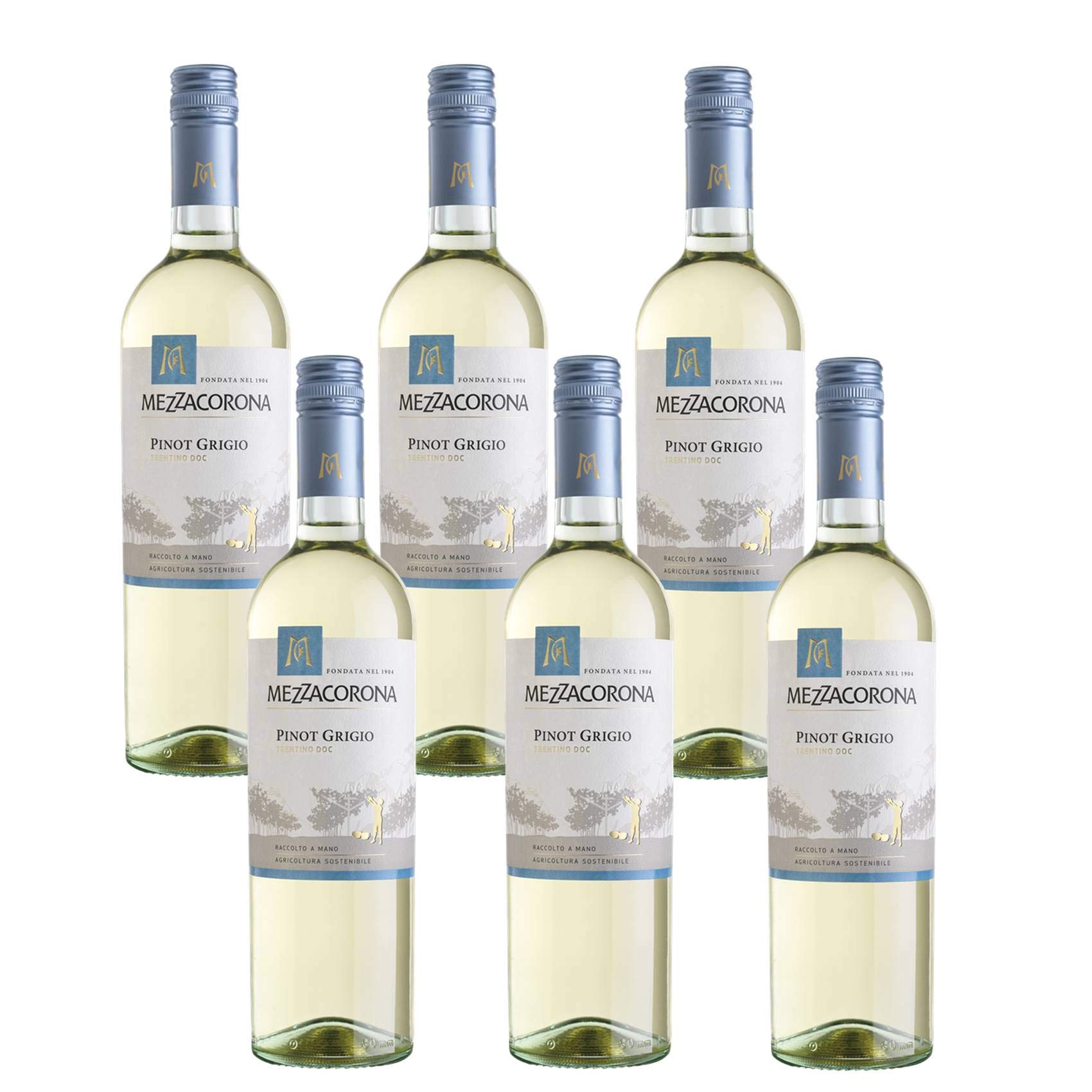 MEZZACORONA Chardonnay Trentino DOC