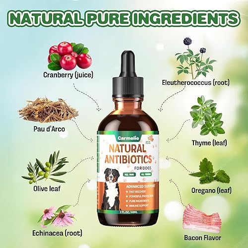 Miniatura 2 de Antibióticos naturales para perros  Antibióticos para perros, suplementos nutricionales para problemas de piel, alivio de picazón, suplemento de