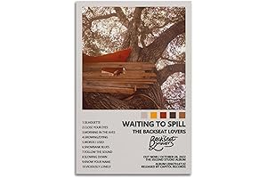 The Backseat Lovers Waiting to Spill Album Poster: Enhance Your Decor with Artistic Expression