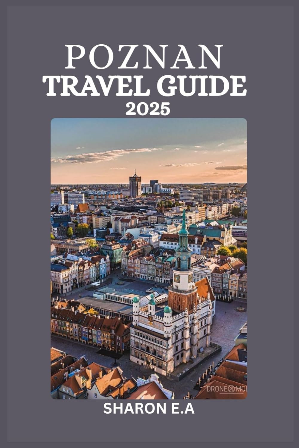 POZNAN TRAVEL GUIDE 2025: Explore the Culture, Practical Tips and Hidden Gems