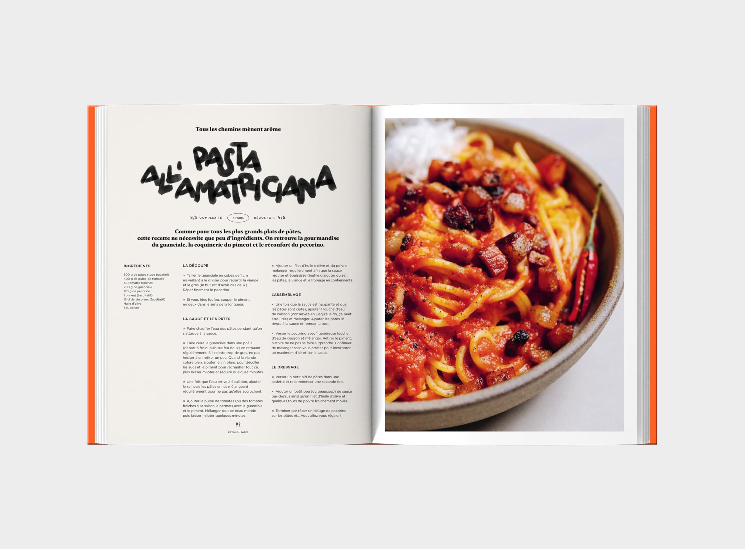 Manuel du cuisinier amateur Tome 2: À toutes faims utiles - 150 recettes et techniques