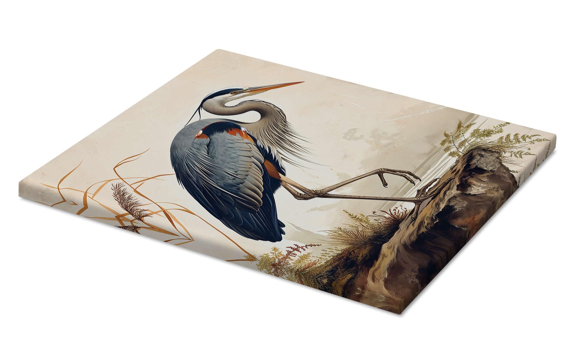 Great Blue Heron after Audubon Obraz na płótnie