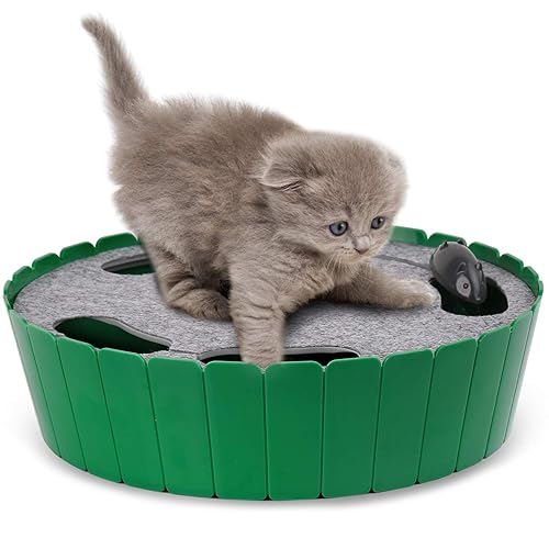 Pawaboo Interactive Cat Toy with Running Mouse, Electronic Motion Cat