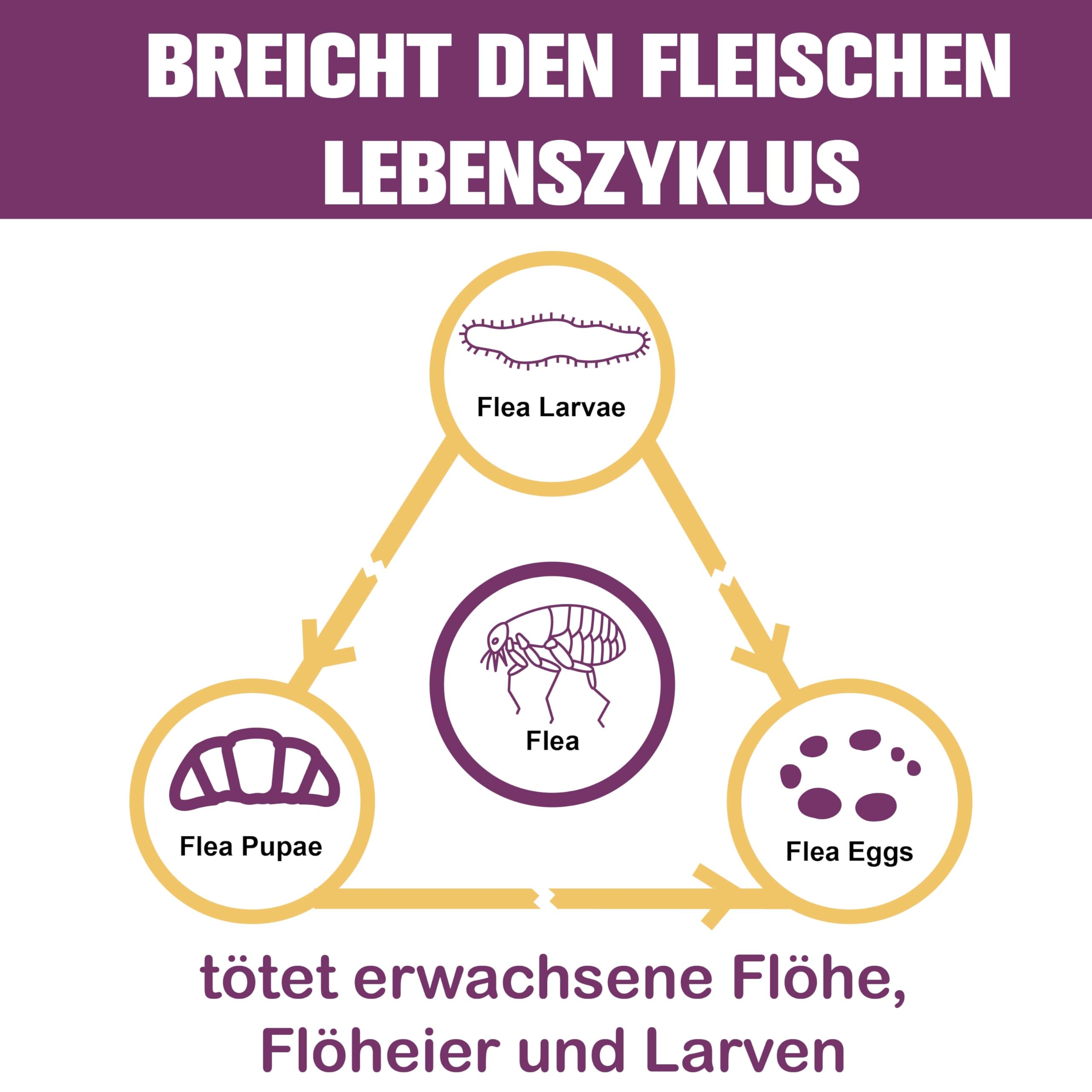 Zeckenschutz für Katzen 6 Pipetten, Spot On Katzen, Zeckenmittel für Katze, Katze flohmittel entwurmungsmittel für Katzen, gegen Flöhe & Zecken