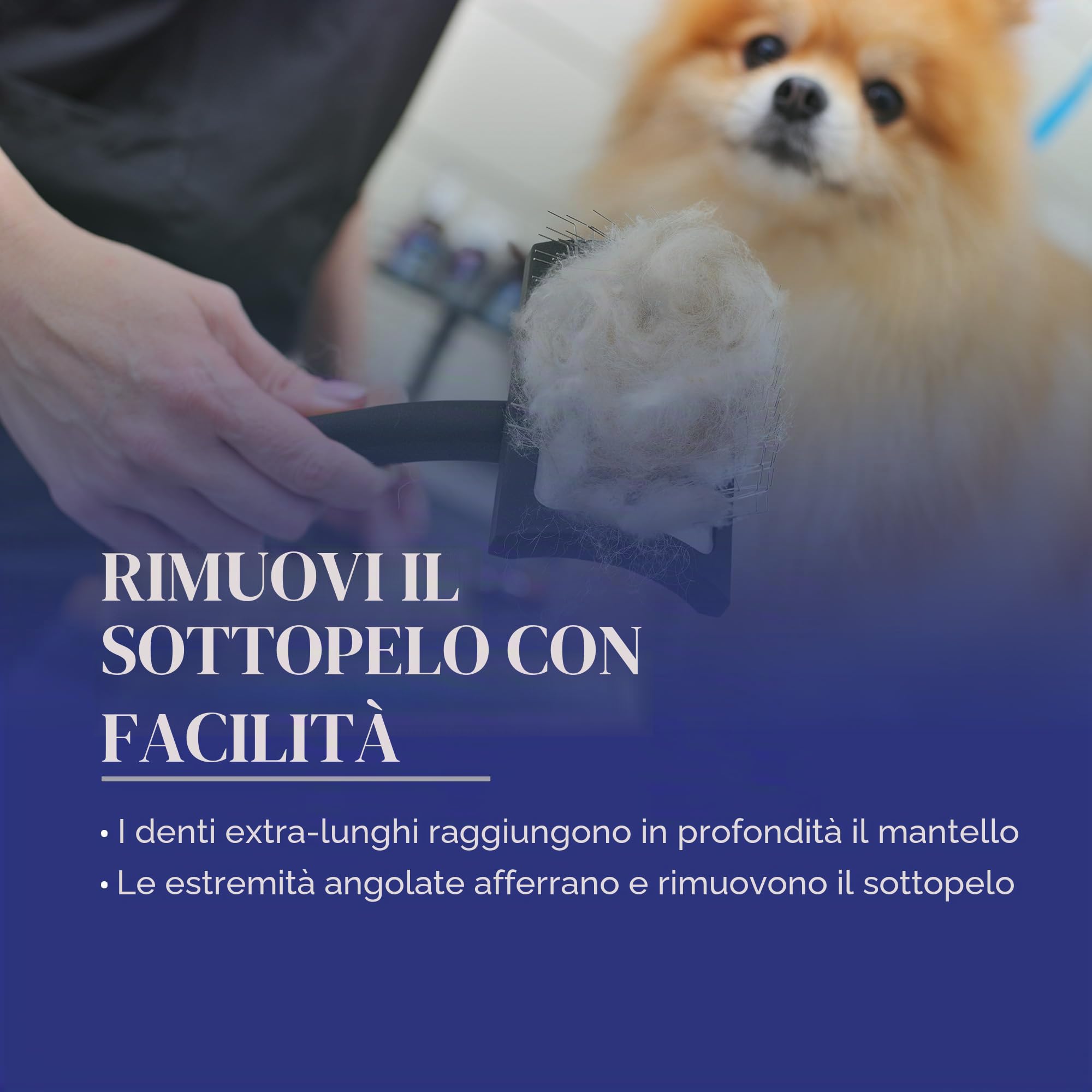 Chris Christensen Baby K Dog Slicker Brush Groom Like a Professional, Fluff Detangle Style, risparmia tempo energia, corallo, piccola