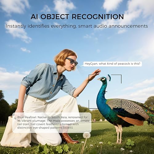 Miniatura 4 de Lentes inteligentes AI con cámara, gafas de cámara de grabación de video 1080P para hombres y mujeres, traducción en tiempo real, asistente de voz