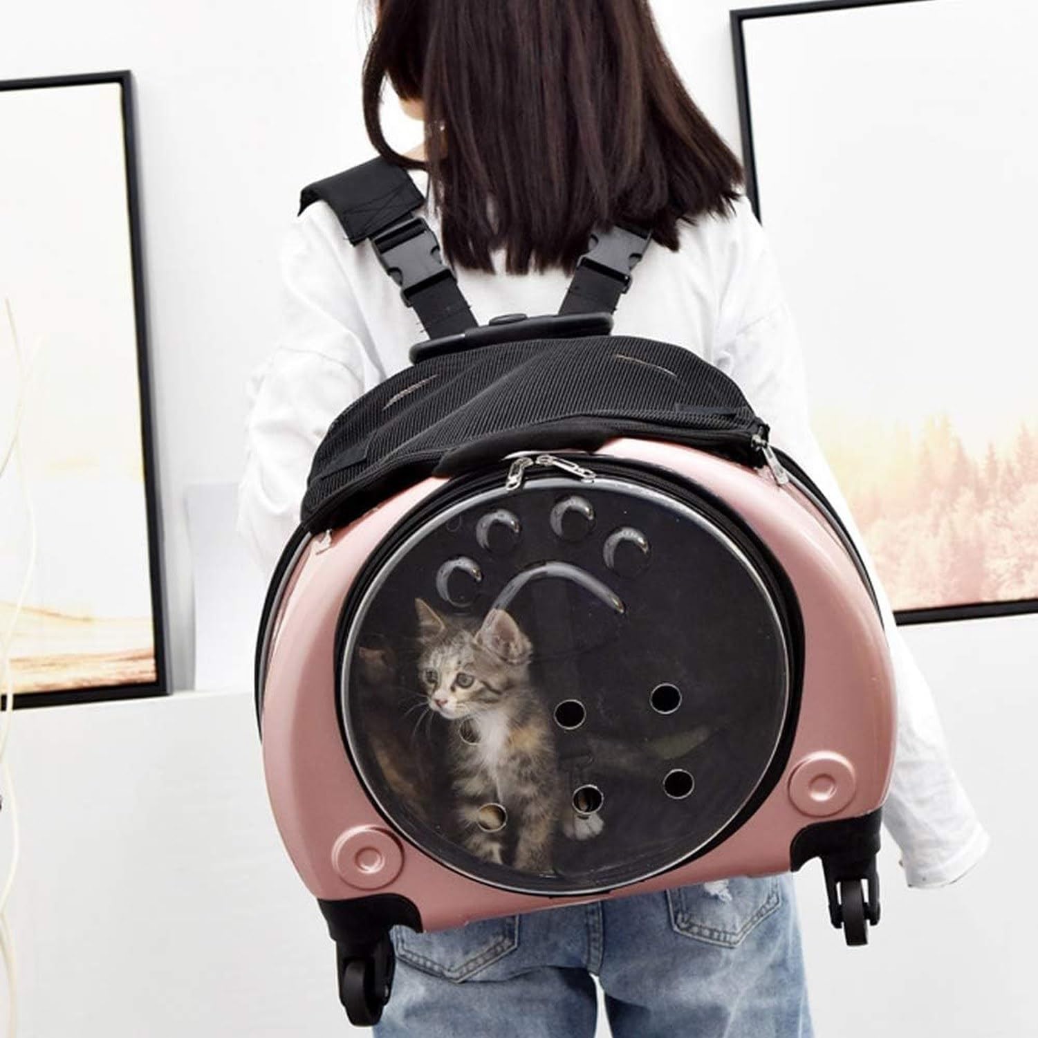 Transportín rodante con Ruedas para Mascotas, Mochila 2 en 1 para Perros y Gatos, Equipaje de Viaje con 4 Ruedas, Aprobado para vuelos, Uso Interior y Exterior, Silver