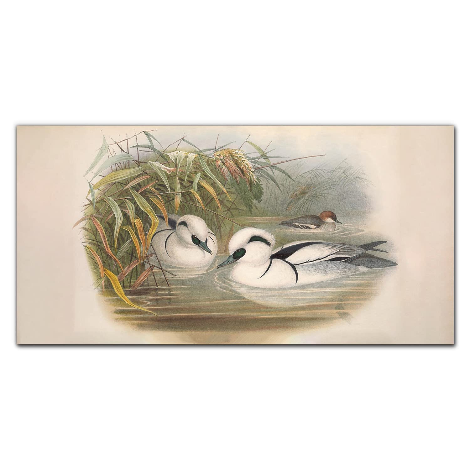Décoration tableau en verre acrylique 100x50cm impression murale oiseaux - 8