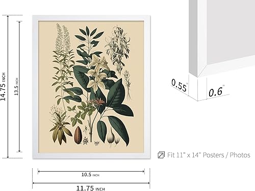 Miniatura 97 de Poster Master Póster vintage de orquídea, estampado de flores retro, arte de pared de plantas exóticas, arte botánico, regalo para hombres y