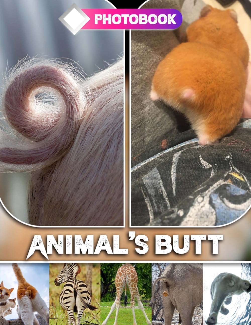 Animal's Butt Photo Book: Animal Moments You Can’t Unsee with 40 Funny And Awkward Wildlife Shots | Perfect Silly Gift For Friends With A Sense Of Humor