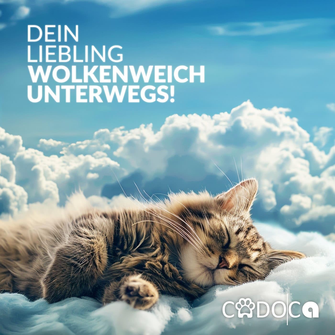 Cadoca Zaino per Animali Domestici fino a 12kg Comfort Cinte Regolabili Box Trasporto Cani e Gatti