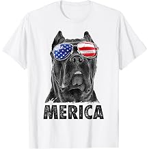 Cane Corso 4th of July Merica Men American Flag Sunglasses T-Shirt