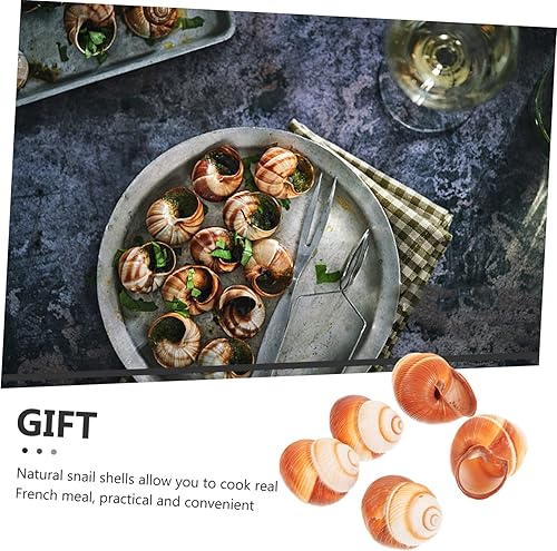 Miniatura 3 de Zerodeko 4sets Real Comida Francesa Caracol Conchas Decorativas Resistente al Calor Escargot Shells 5 unids*4