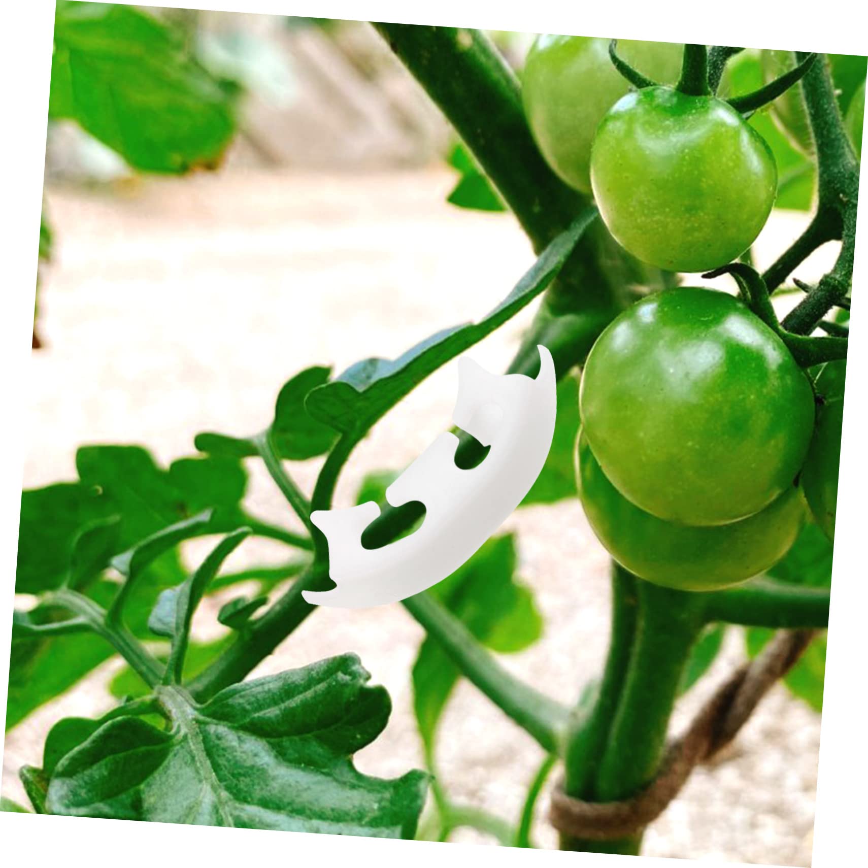 5 Set Clip di Pomodoro Supporti per Presa Clip di Verdure Riutilizzabile Posta in Gioco Fitosanitario Piante Piantare Clip Trainer Clip in Plastica da Giardino Bianca 100 Pezzi*5