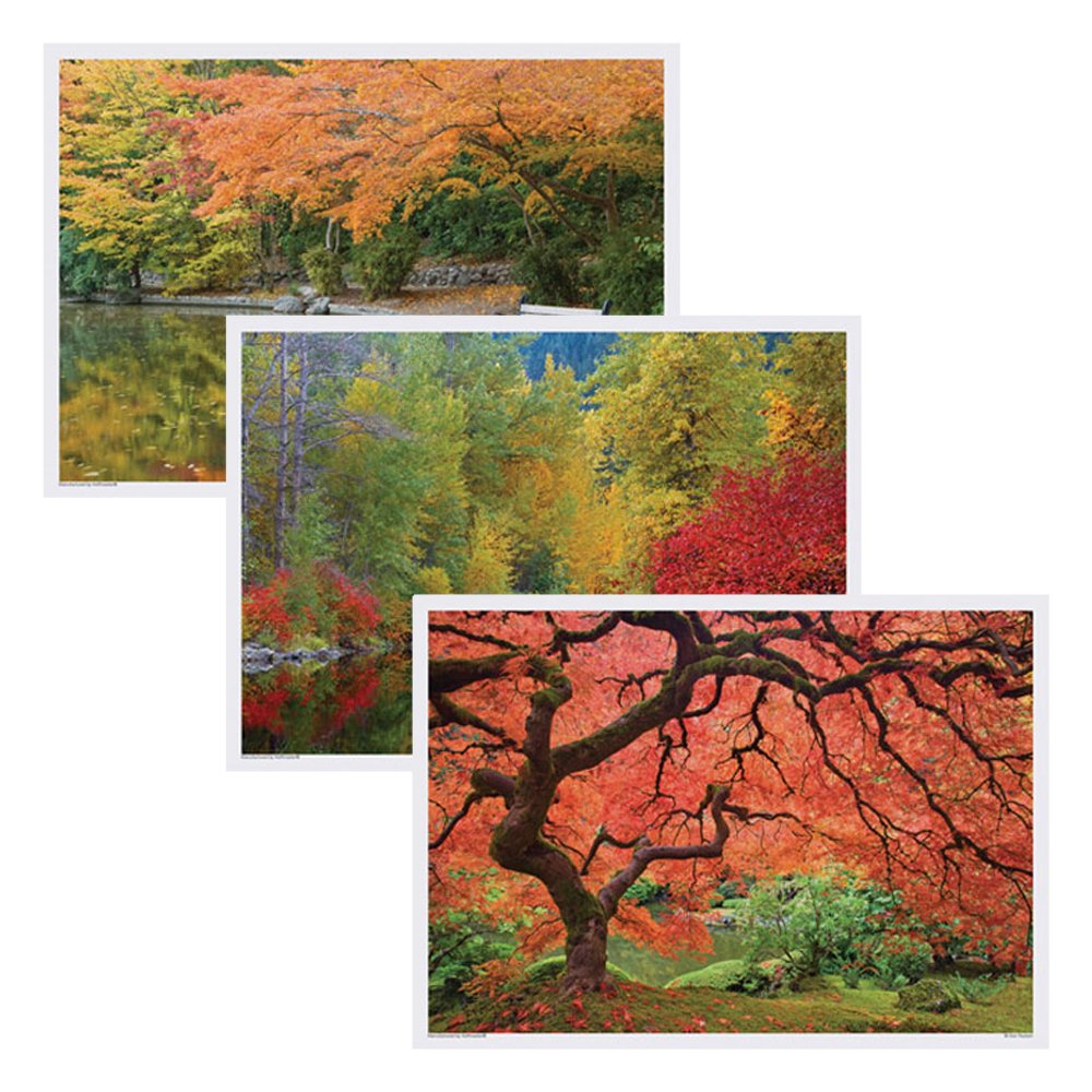 Hoffmaster 702078 mantel individual unidades, 3 diseños, 14 cm de largo x 10 "Ancho, caída (caja de 1000)