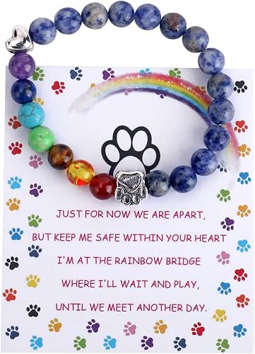 Pet Memorial Gifts, Rainbow Bridge Bracelet for Beloved Dog Cat,