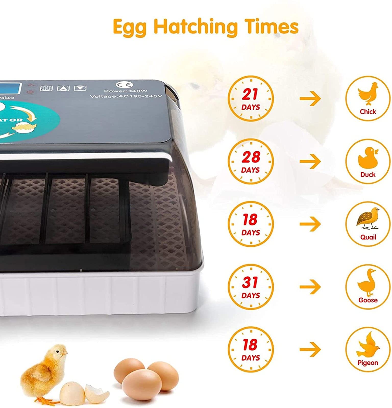 Incubadora digital de huevos completamente automática, 12 incubadoras de huevos, capacidad para incubar patos de gallina, aves de corral, paloma, codorniz, control de temperatura de humedad y
