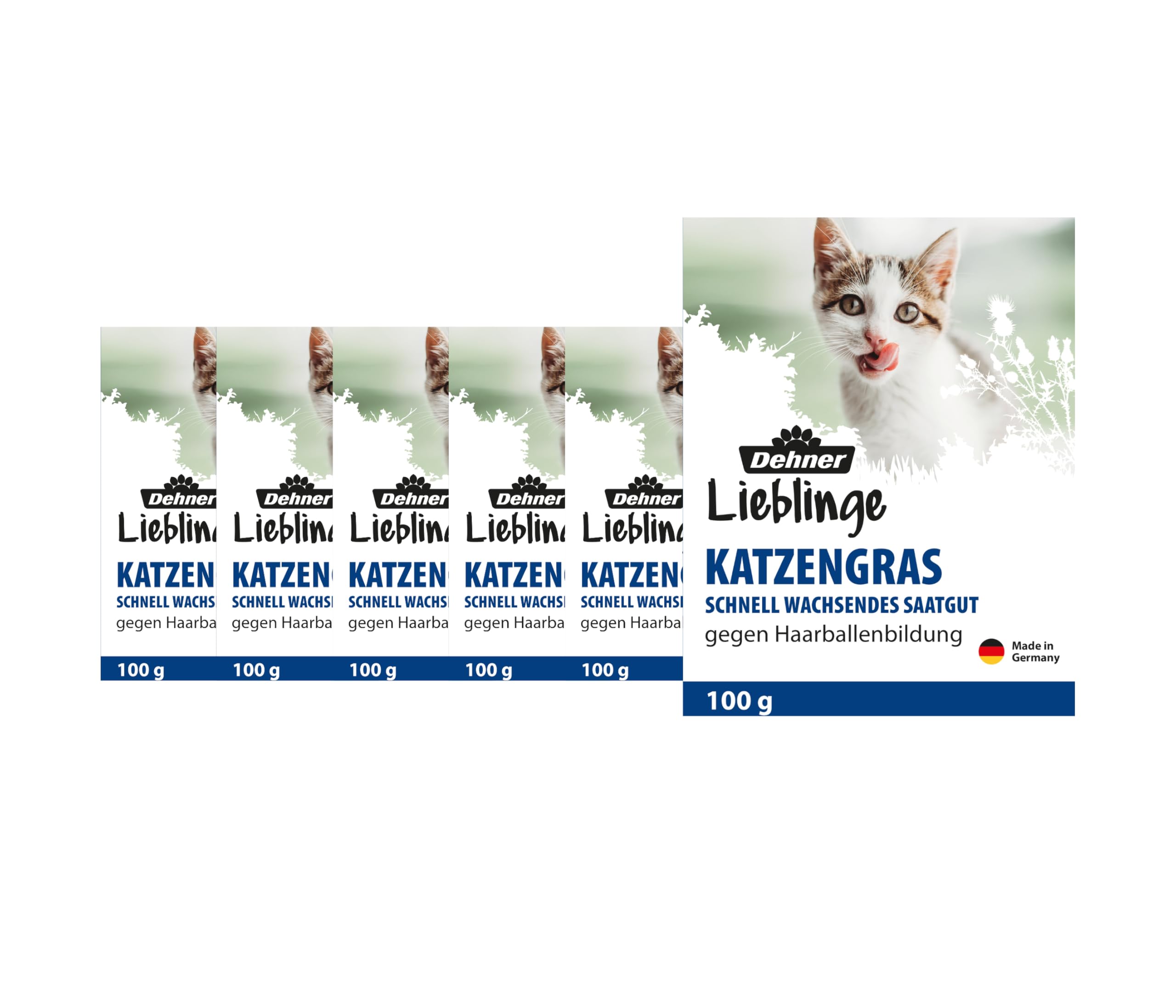 Dehner Lieblinge Saatgut Katzengras, 6 Stück (600 g)